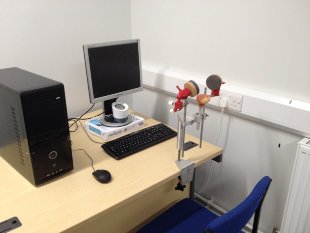 Experimental workstation in the Time Perception Lab